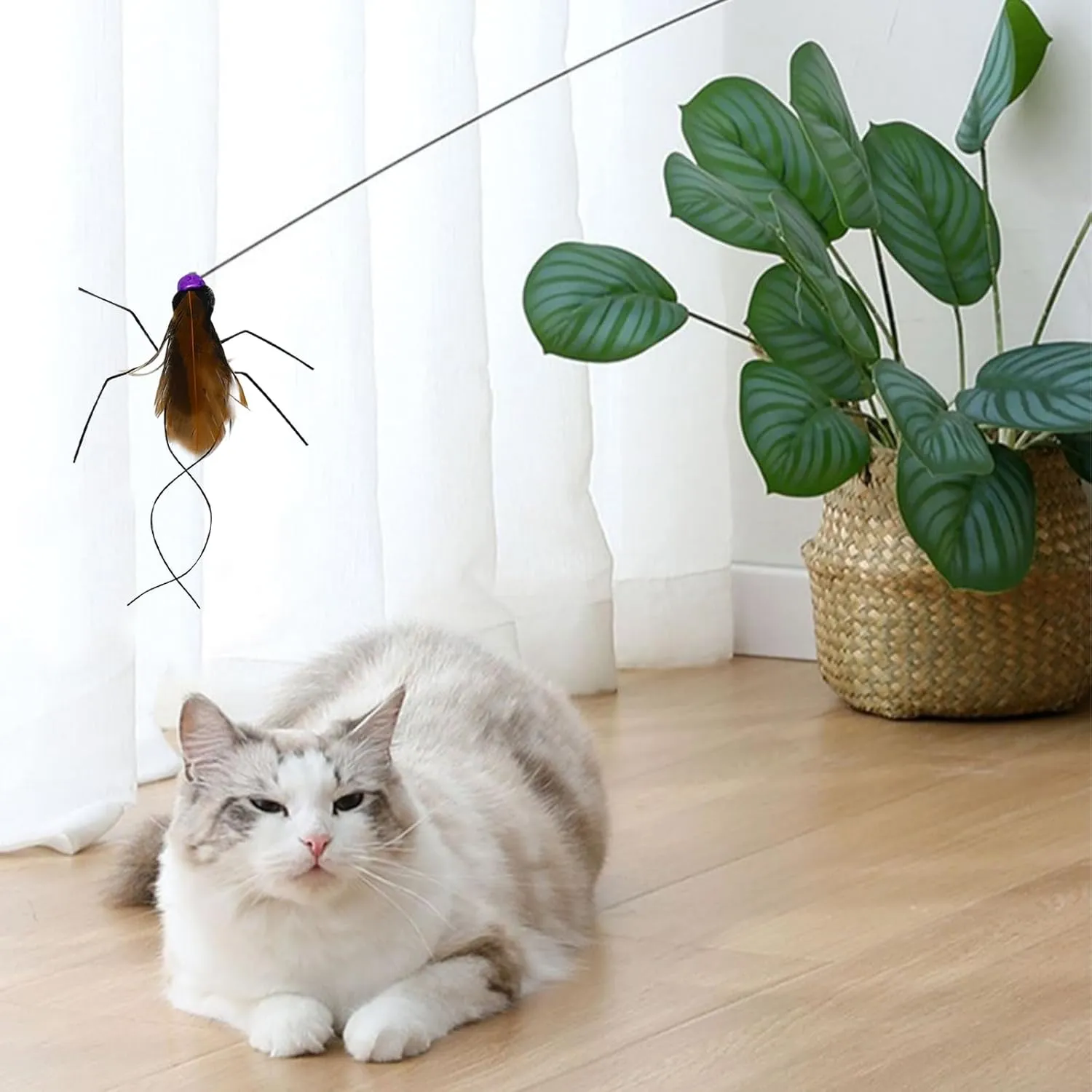 10 Pieces Cat Feather Toys Replacement Insect Cat Toy Wand Refills Cats Toy Replacement Natural Bird Feathers for Cats Toys