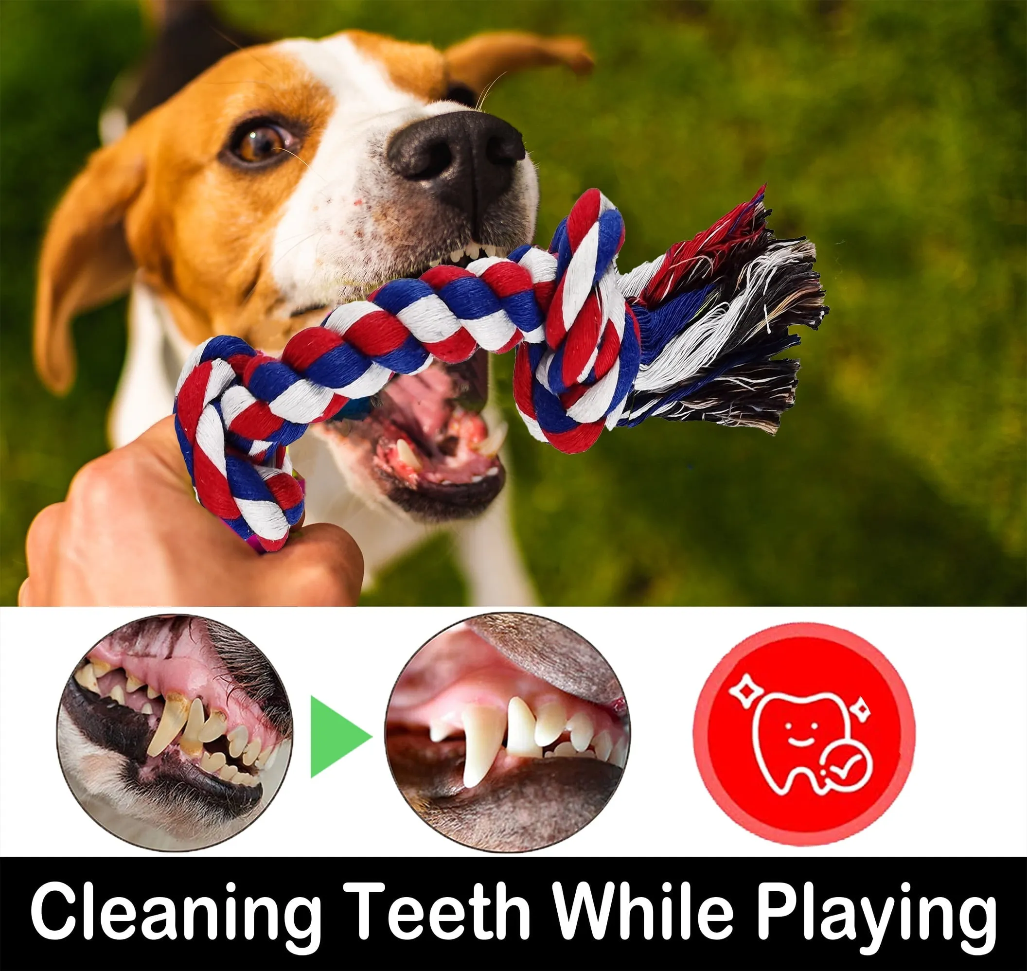 12 Pack Indestructible Dog Rope Toys