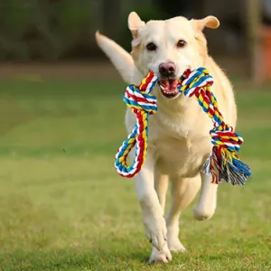 12 Pack Indestructible Dog Rope Toys