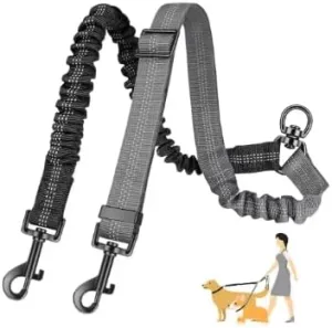16ft Long Dual Dog Leash Attachment - Double Leashes for Training Small to Large Dogs - Adjustable Strap, Shock Absorbing Bungee (Gray)