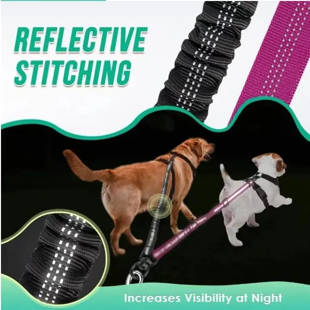 16ft Long Dual Dog Leash Attachment - Double Leashes for Training Small to Large Dogs - Adjustable Strap, Shock Absorbing Bungee (Gray)