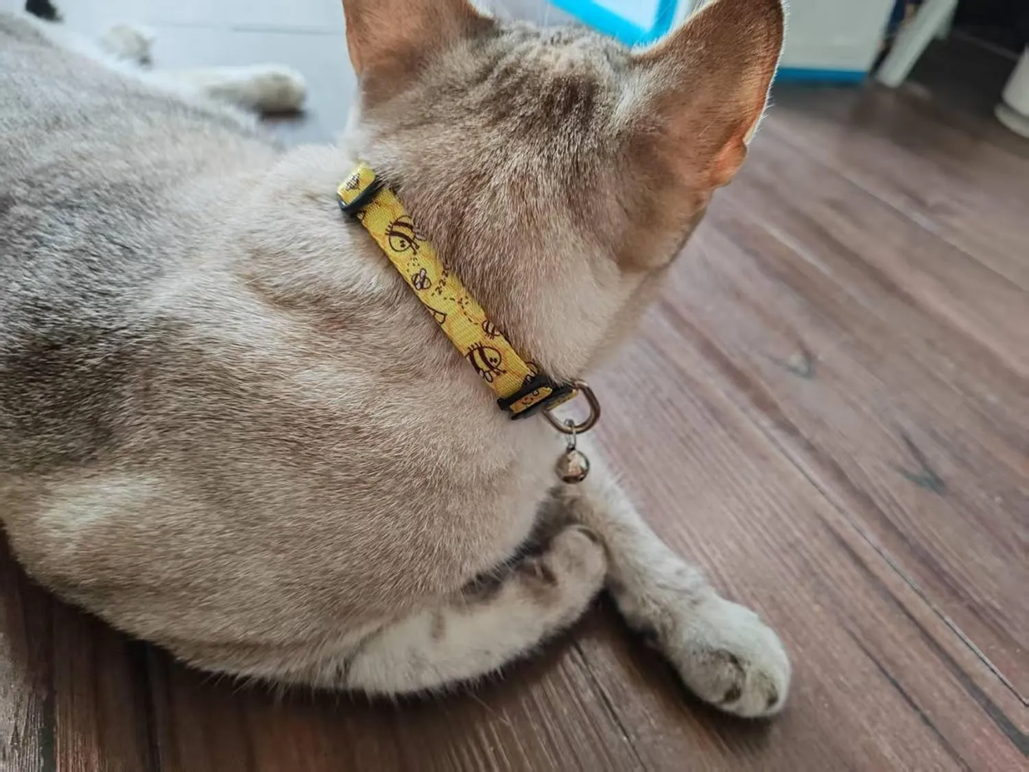 Cat Collar, 2 Pack Breakaway Collar with Bells, Safety Buckle Kitten Collars for Boy and Girl Cats, Bee Ladybug