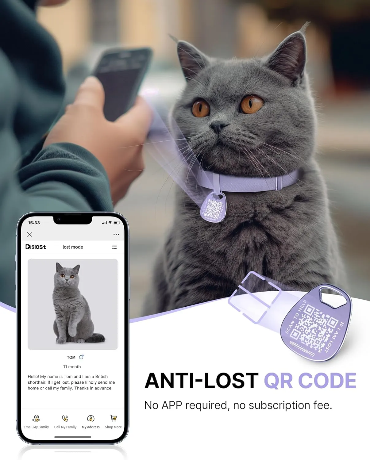 Cat Collar with Name Tag Breakaway: Reflective Kitten Collars with QR Code ID Tag for Girl Boy Cats, Ultra Soft & Elastic Adjustable (6"-12") Cat Collar with Break Away Safety Buckle, Purple