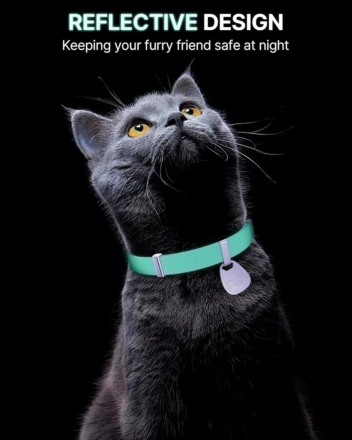 Cat Collar with Name Tag Breakaway: Reflective Kitten Collars with QR Code ID Tag for Girl Boy Cats, Ultra Soft & Elastic Adjustable (6"-12") Cat Collar with Break Away Safety Buckle, Purple