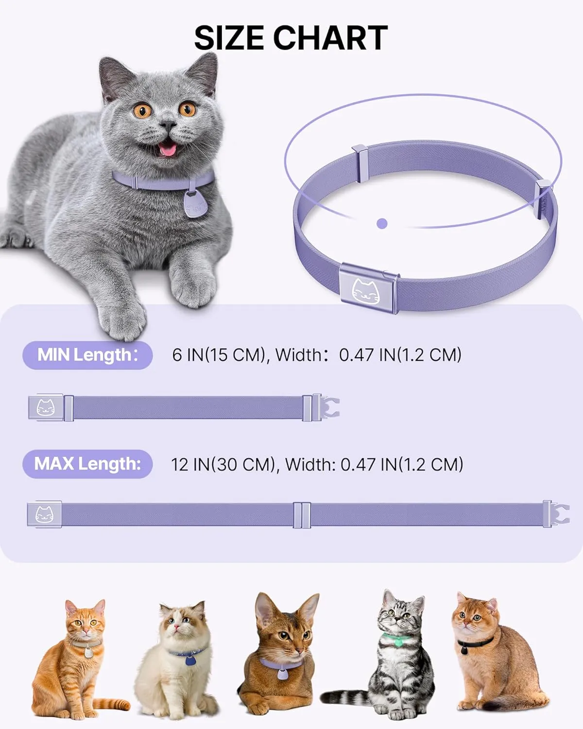 Cat Collar with Name Tag Breakaway: Reflective Kitten Collars with QR Code ID Tag for Girl Boy Cats, Ultra Soft & Elastic Adjustable (6"-12") Cat Collar with Break Away Safety Buckle, Purple