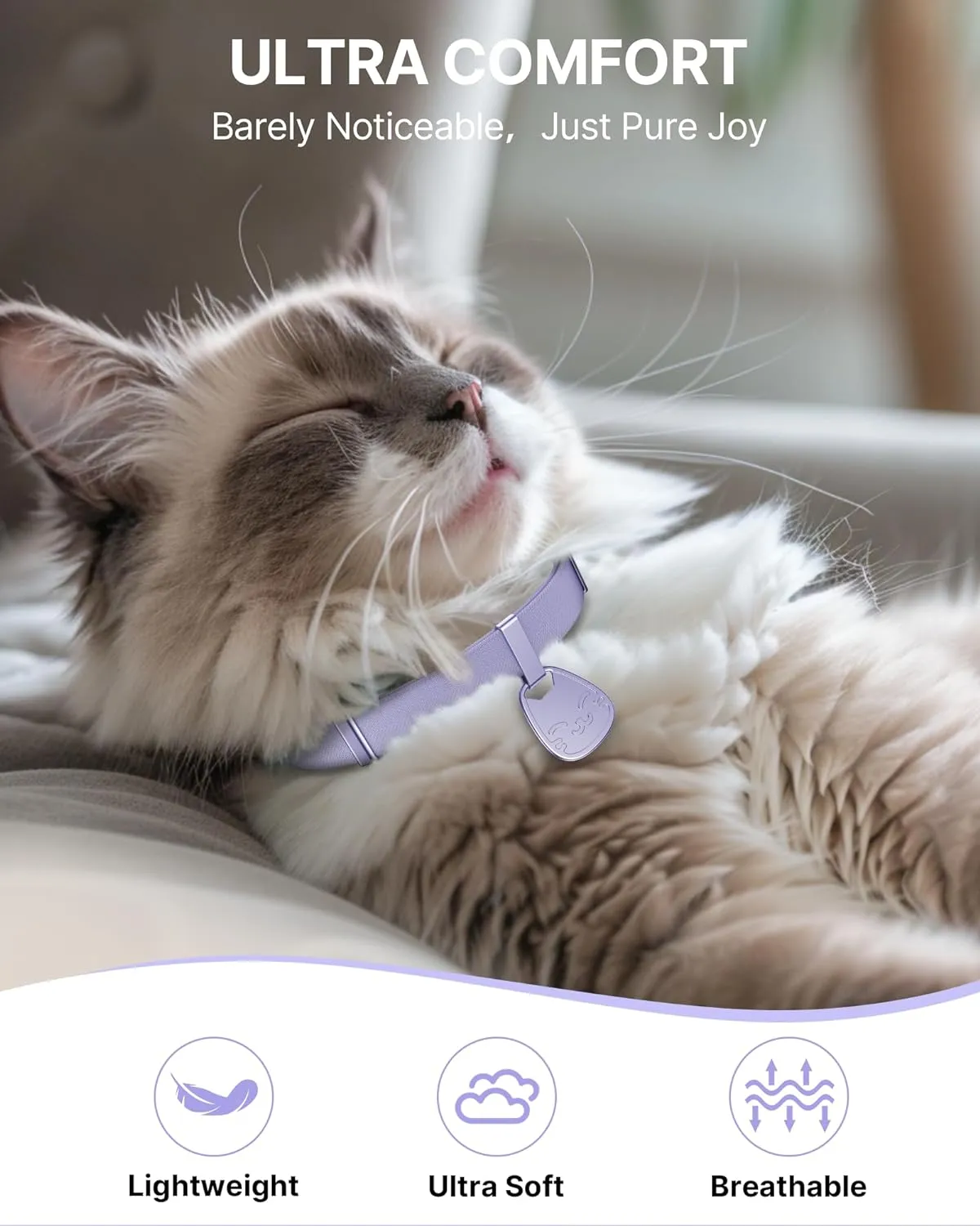 Cat Collar with Name Tag Breakaway: Reflective Kitten Collars with QR Code ID Tag for Girl Boy Cats, Ultra Soft & Elastic Adjustable (6"-12") Cat Collar with Break Away Safety Buckle, Purple