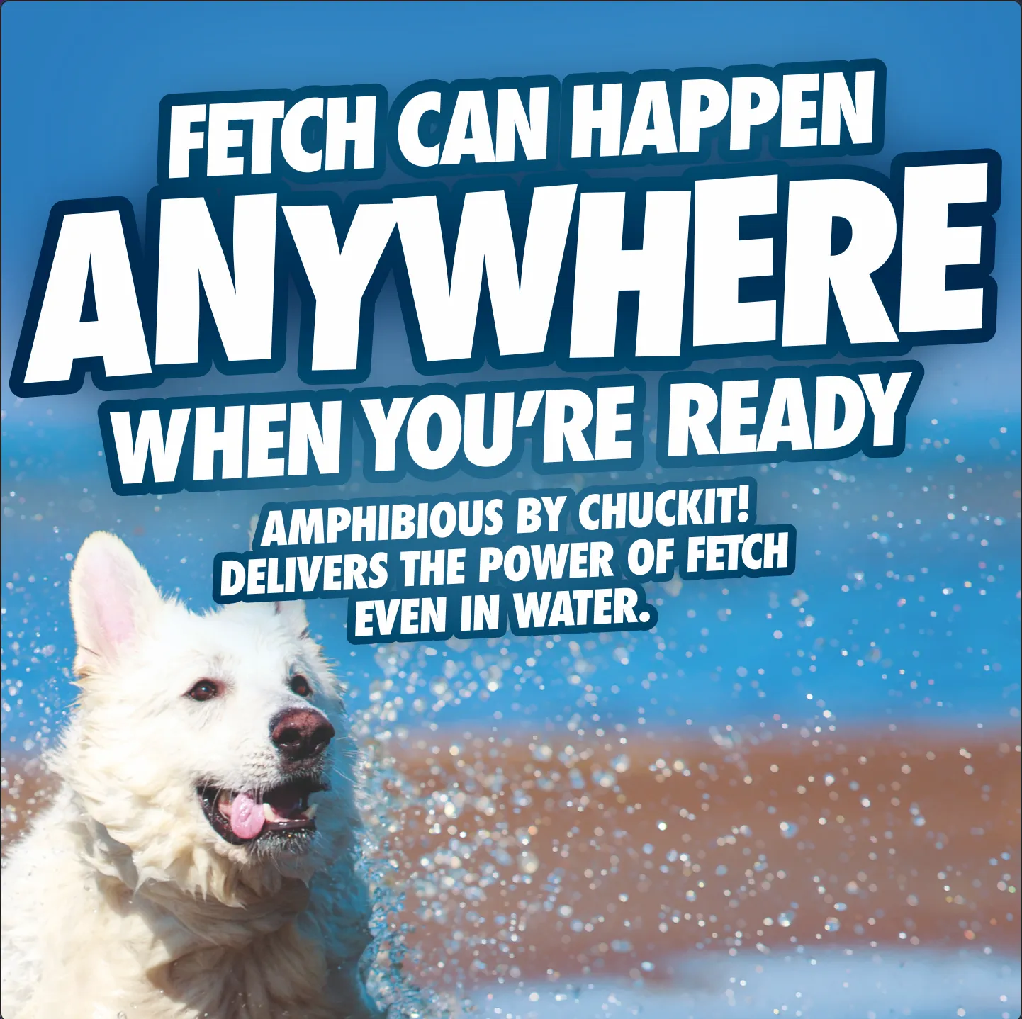 Chuckit! Amphibious Fetch Value Pack
