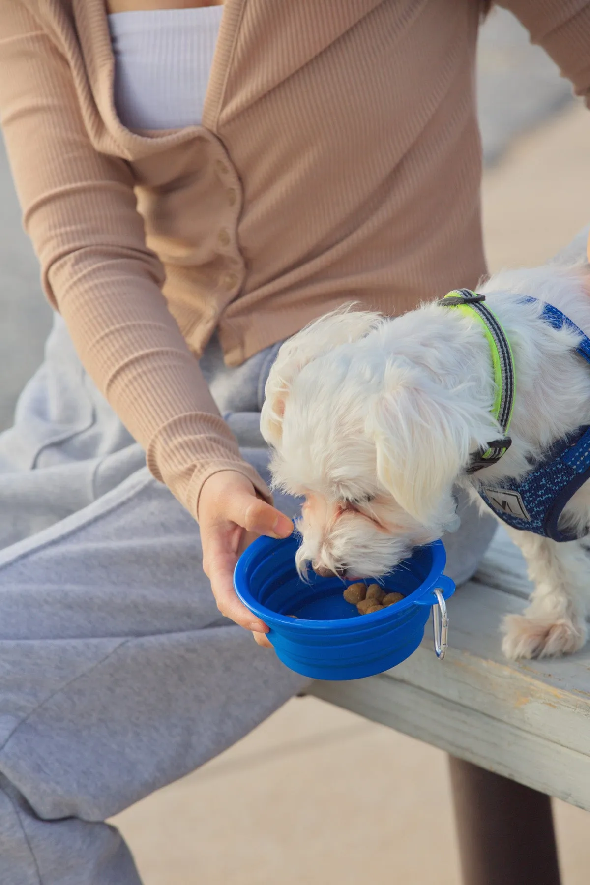 Custom Feed 'N Go Collapsible Pet Bowl with Carabiner