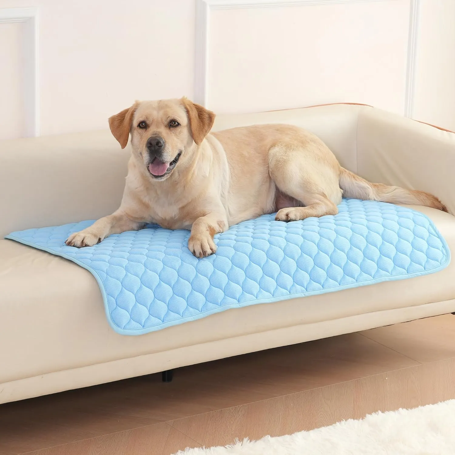 Dog Cooling Mat, No Need to Freeze Or Refrigerate This Cool Pet Pad Cat Mats- Keep Your Pet Cool, Machine Washable. (27" x 19", Blue)