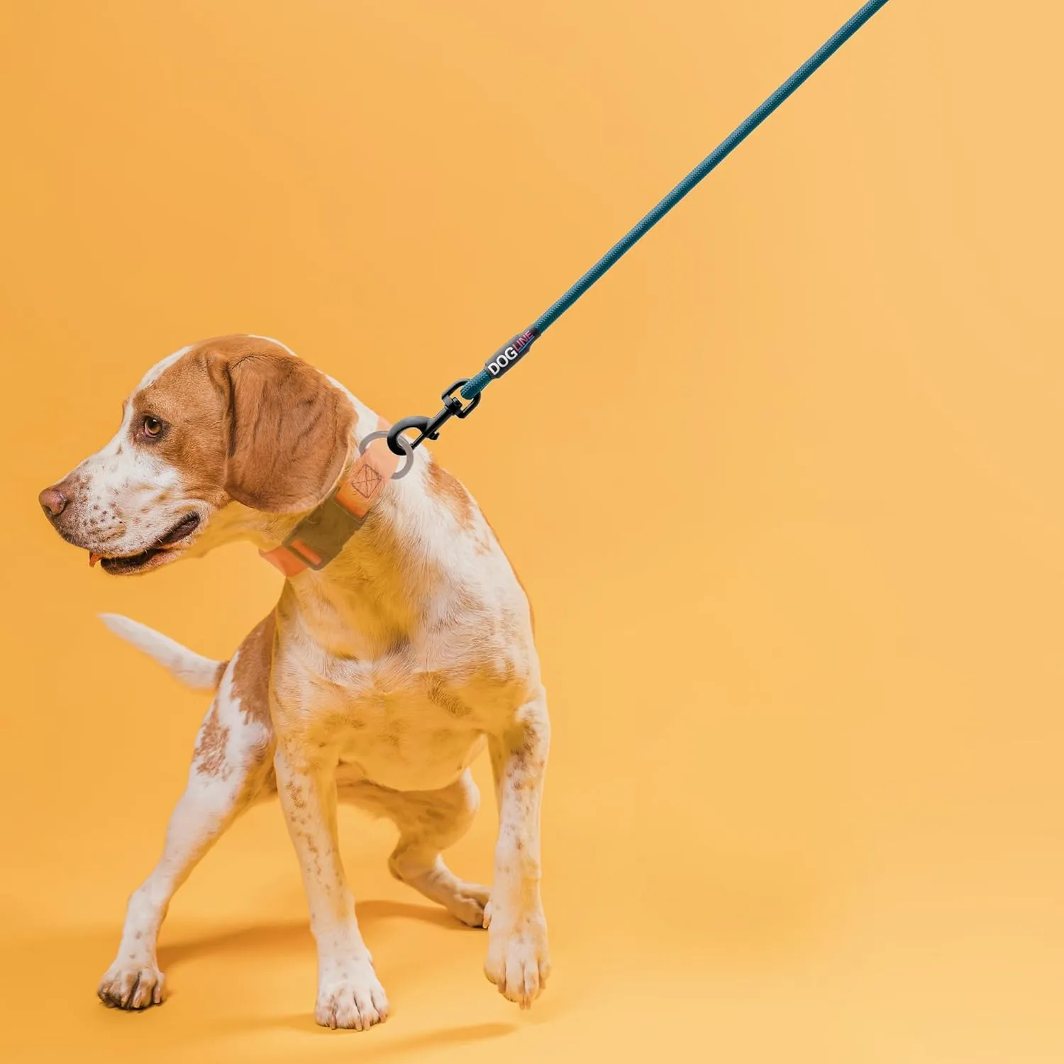 Dogline Round Nylon Leash - Heavy Duty Dog Rope Lead with Soft Neoprene Handle for Small, Medium and Large Dogs, W 1/4" x L 6 ft - Dark Teal