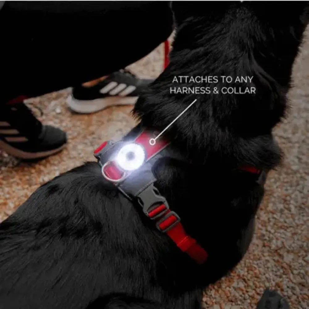 EzyDog Go2 Attachable Dog Light - Multi
