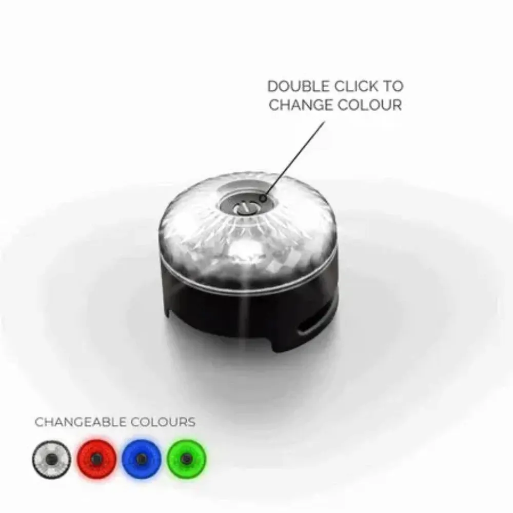 EzyDog Go2 Attachable Dog Light - Multi