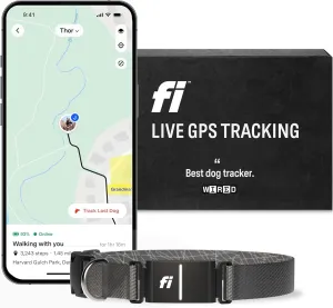 Fi Series 3 Smart Dog Collar - GPS Dog Tracker and Activity & Fitness Monitor, Waterproof, LED Light, Escape Alerts, Nationwide Coverage [Free 1 Year Membership] (Gray, Large)