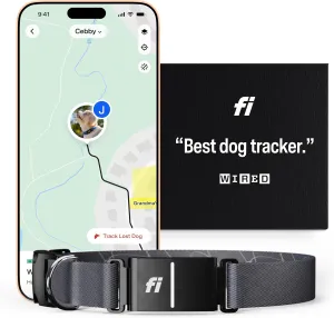 Fi Series 3 Smart Dog Collar - GPS Dog Tracker and Activity & Fitness Monitor, Waterproof, LED Light, Escape Alerts, Nationwide Coverage [Free 6 Month Membership] (Gray, Medium)