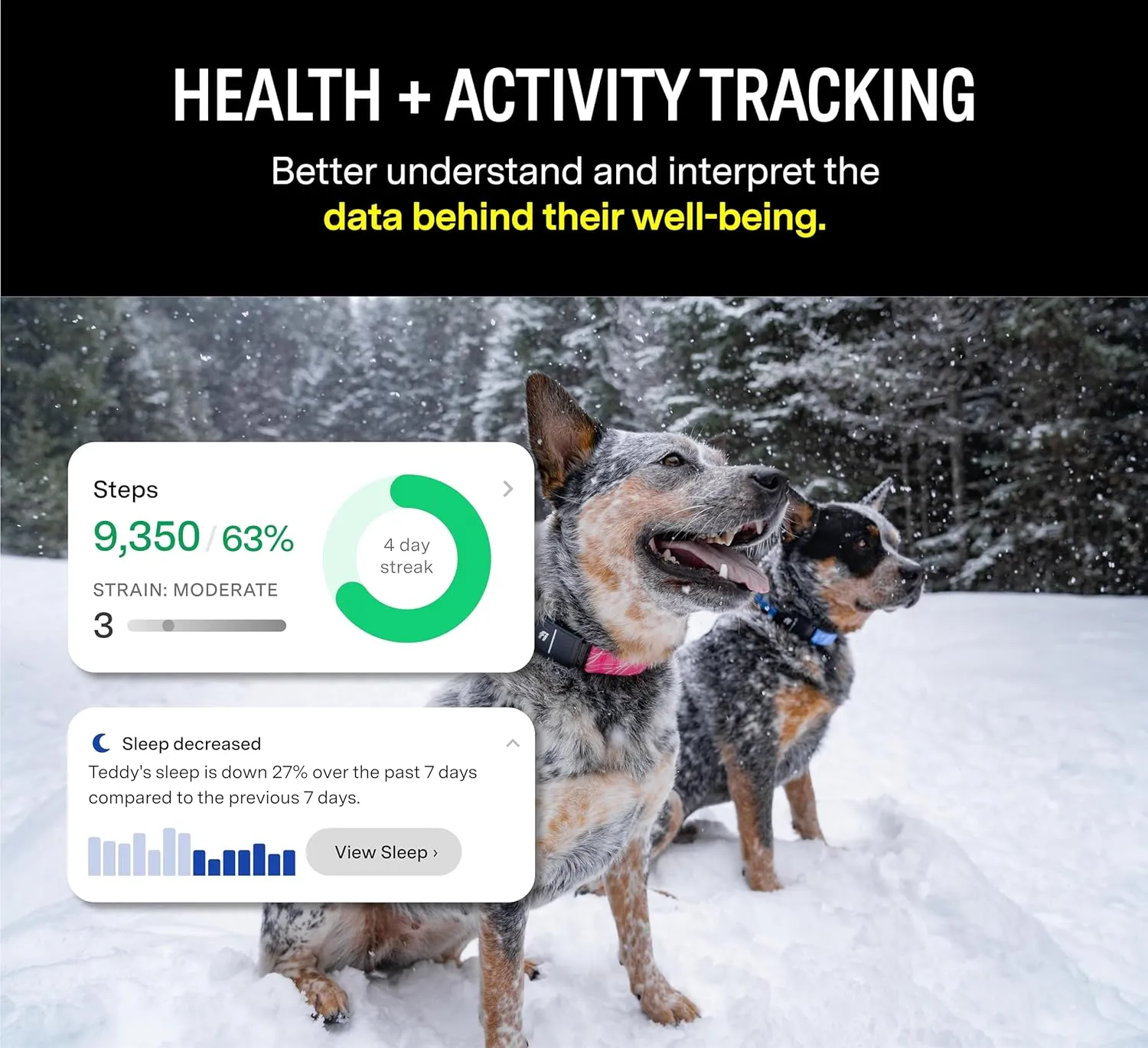 Fi Series 3 Smart Dog Collar - GPS Dog Tracker and Activity & Fitness Monitor, Waterproof, LED Light, Escape Alerts, Nationwide Coverage [Free 6 Month Membership] (Gray, Medium)