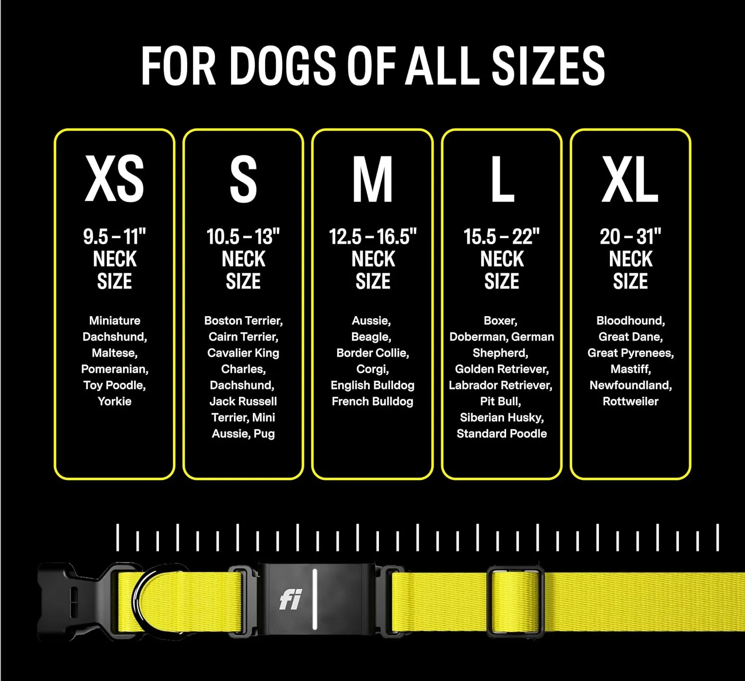 Fi Series 3 Smart Dog Collar - GPS Dog Tracker and Activity & Fitness Monitor, Waterproof, LED Light, Escape Alerts, Nationwide Coverage [Free 6 Month Membership] (Gray, Medium)