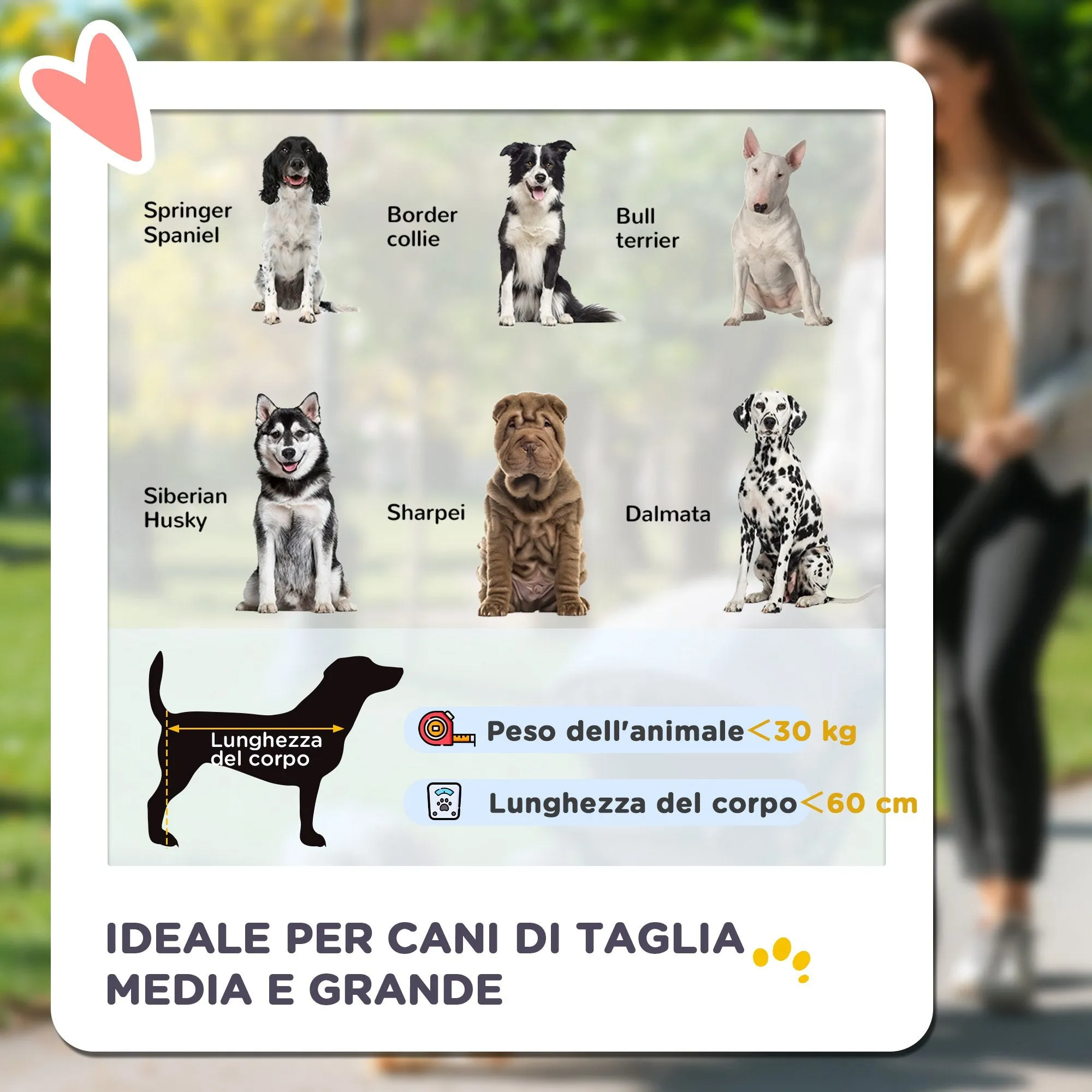 Foldable Dog Stroller with Zipper Entrances and Mesh Windows, 112x65x100 cm, Dark Gray and Black