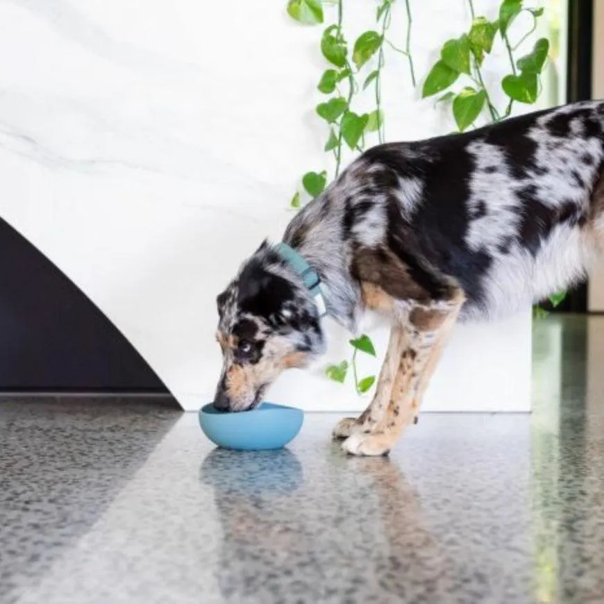 FuzzYard Life - Silicone Bowl - French Blue