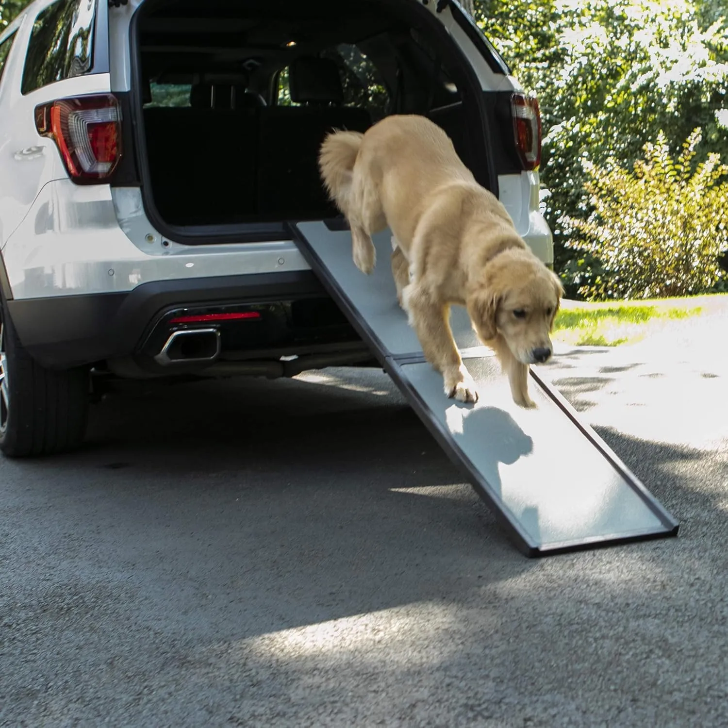 Gen7Pets Natural Step Ramp for Vehicles, 72 Inch