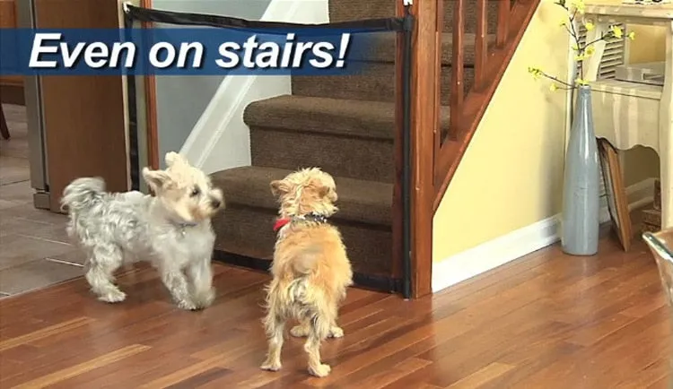 Ingenious Pet and Baby Gate