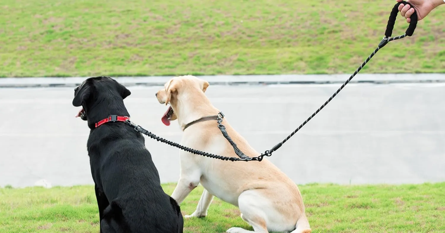 iYoShop Dual Dog Leash - 360 Swivel, No Tangle Walking Leash with Shock Absorbing Bungee for Two Dogs (Medium, 8-35 lbs, Black)