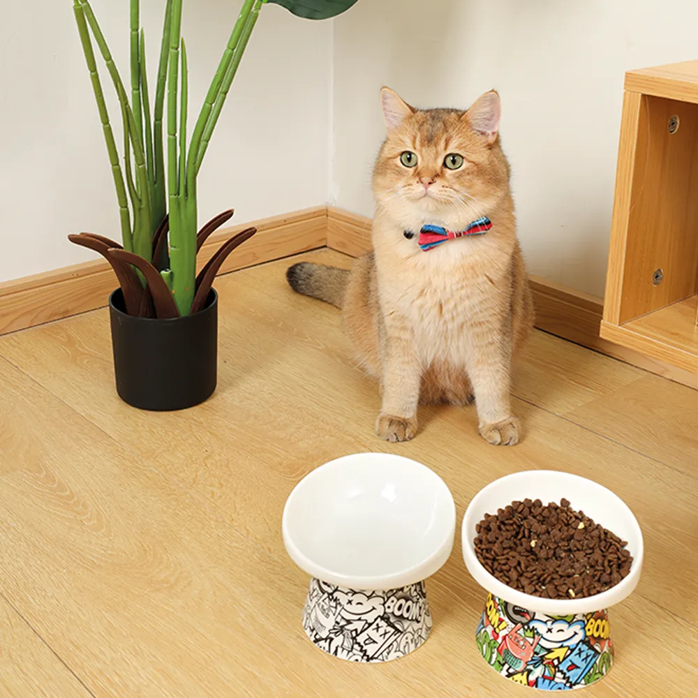 M-PETS Freestyle Tilt'd Raised Ceramic Bowl Mixed Colors