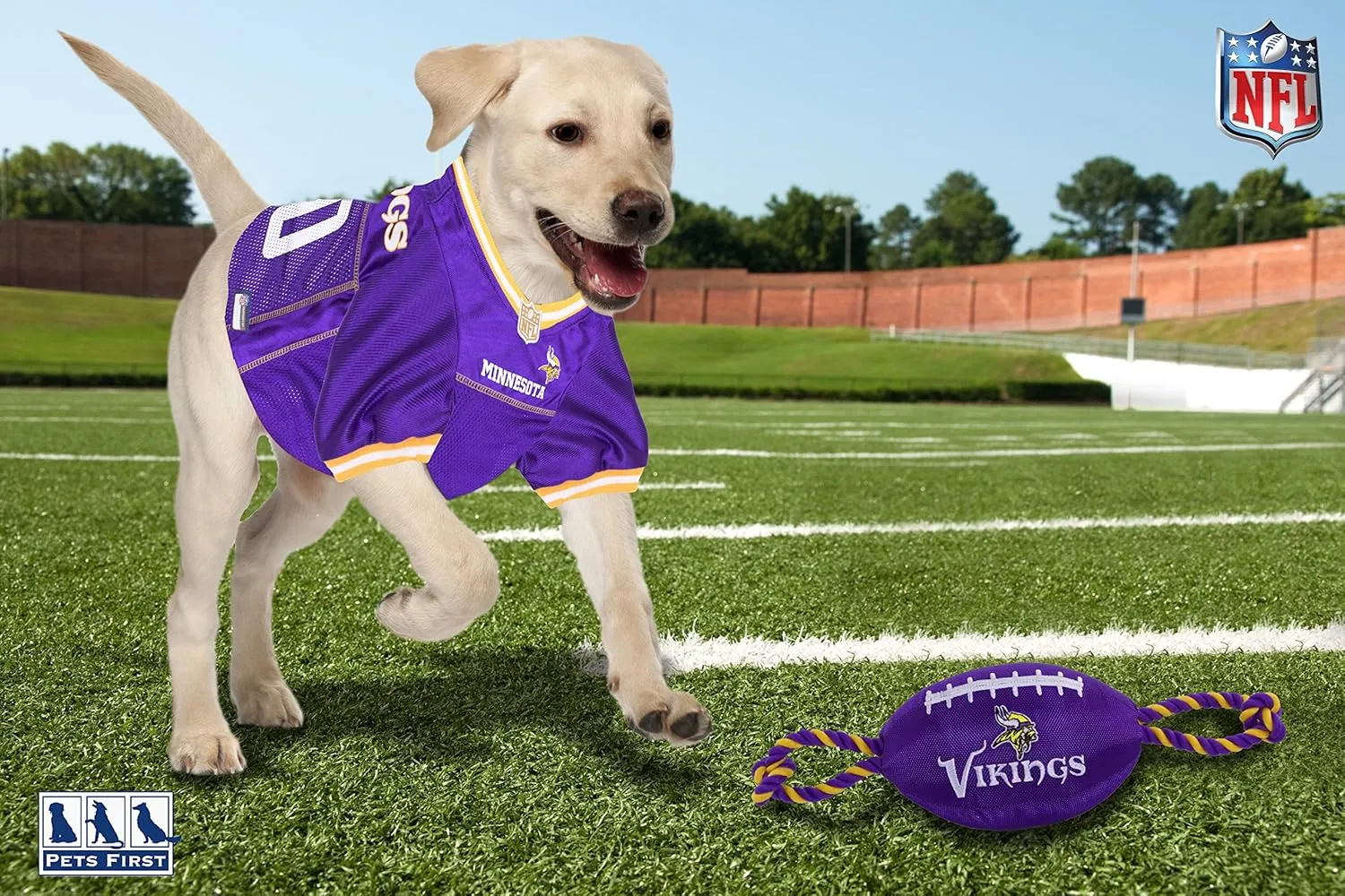 Minnesota Vikings PET GIFT BOX with 2 Licensed DOG TOYS, 1 Logo-engraved NATURAL DOG TREAT, 1 NFL JERSEY, 1 Puppy Training Bells & 1 Car Seatbelt
