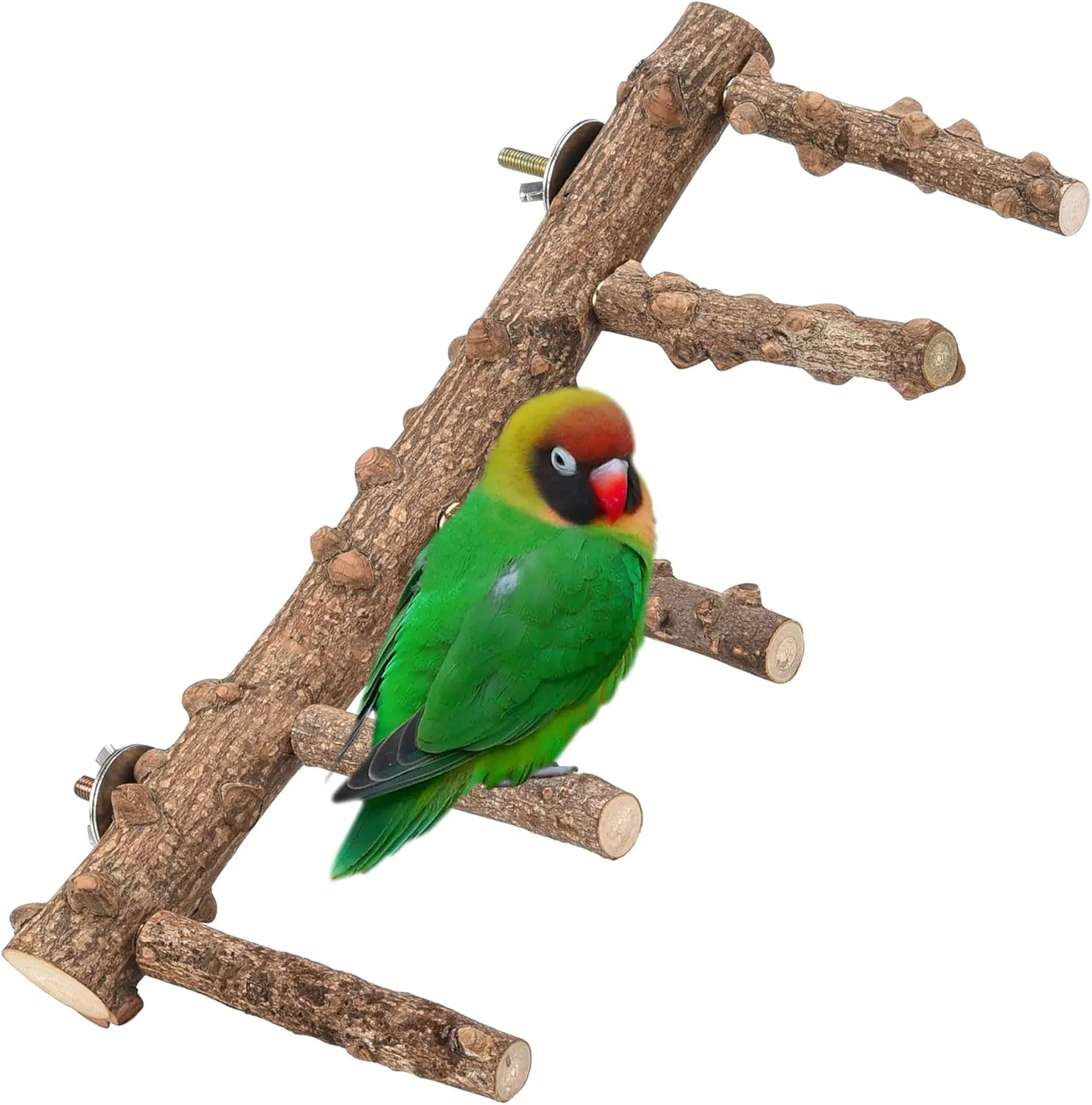 Natural Bird Ladder Stand, Hanging Multi Branch Grapevine Parrot Perch Bird Cage Toys for Small Budgies Conure Parakeets Cockatiels Lovebirds (Ladder)