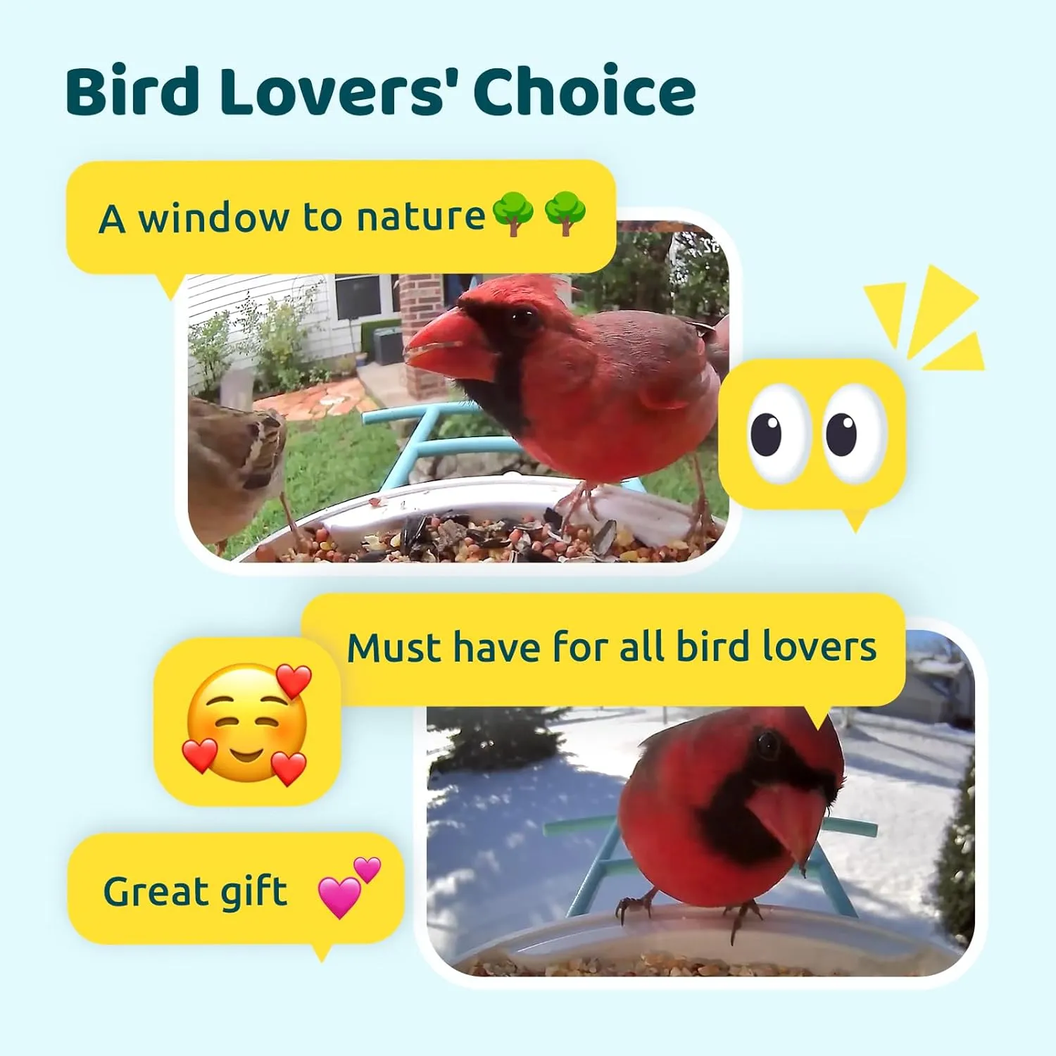 NETVUE by AI Smart Feeder with Camera Solar Powered, AI Auto Capture Each Come & Identify 6000  Species, Cloud Store Videos & On Live, Ideal Gift (Blue)