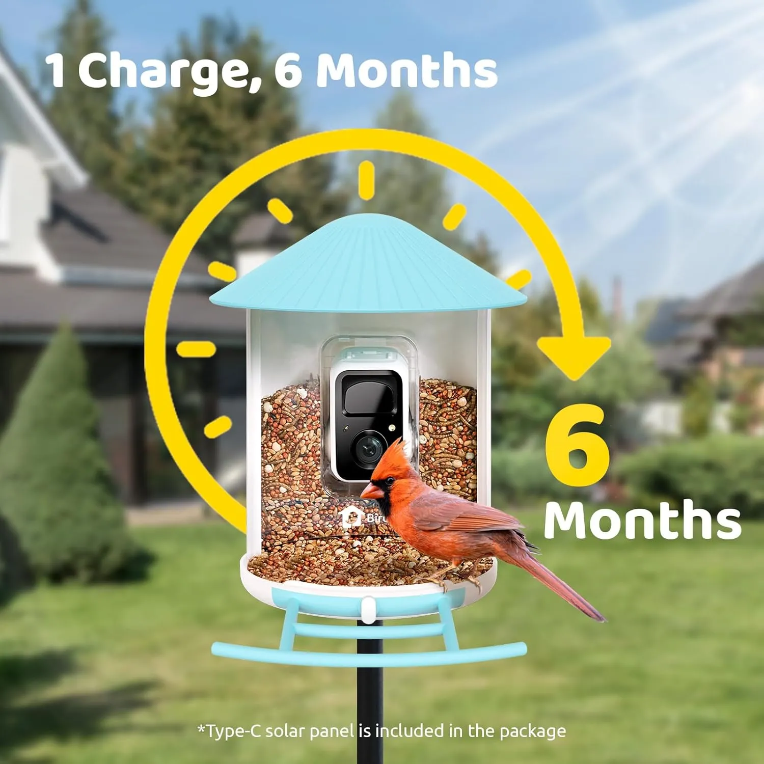 NETVUE by AI Smart Feeder with Camera Solar Powered, AI Auto Capture Each Come & Identify 6000  Species, Cloud Store Videos & On Live, Ideal Gift (Blue)