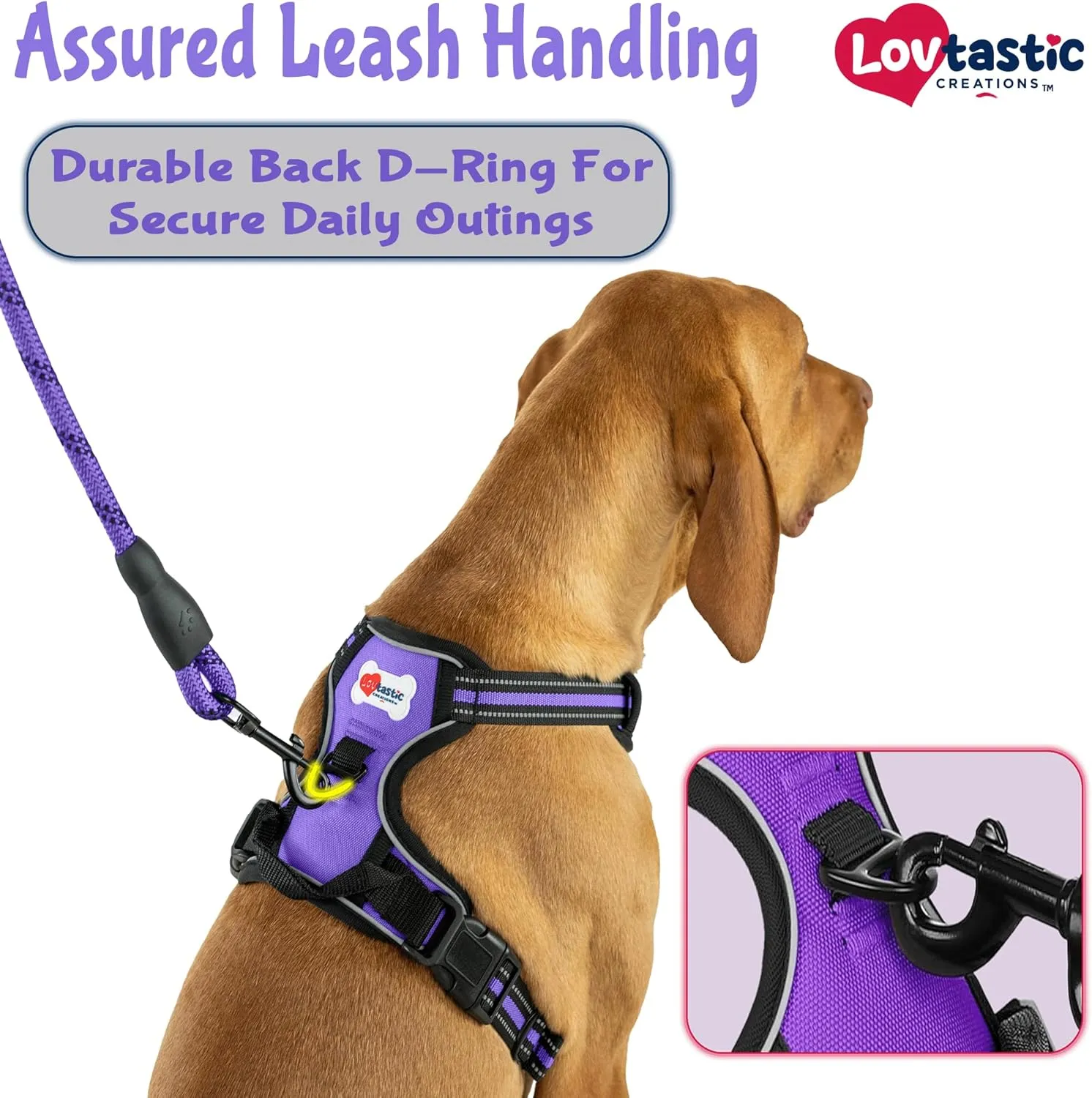 No-Pull Dog Harness - with Strong & Durable Dog Leash & Free Poopbag Holder 3pcs Set | Reflective No-Choke Pet Harness (SM-Purple)