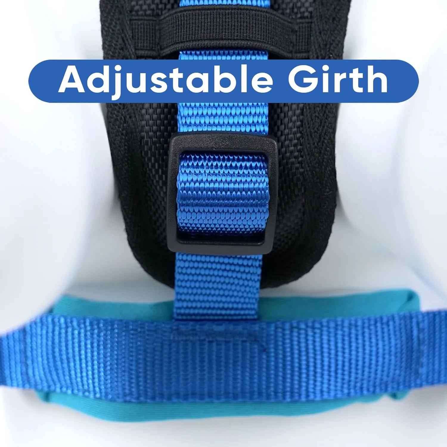 Pawtitas Reflective Dog Harness Padded Dog Harness Provides Comfort Control for a Walk or Running Great Pet Accessories Dog Vest M Medium Bue Dog Harness