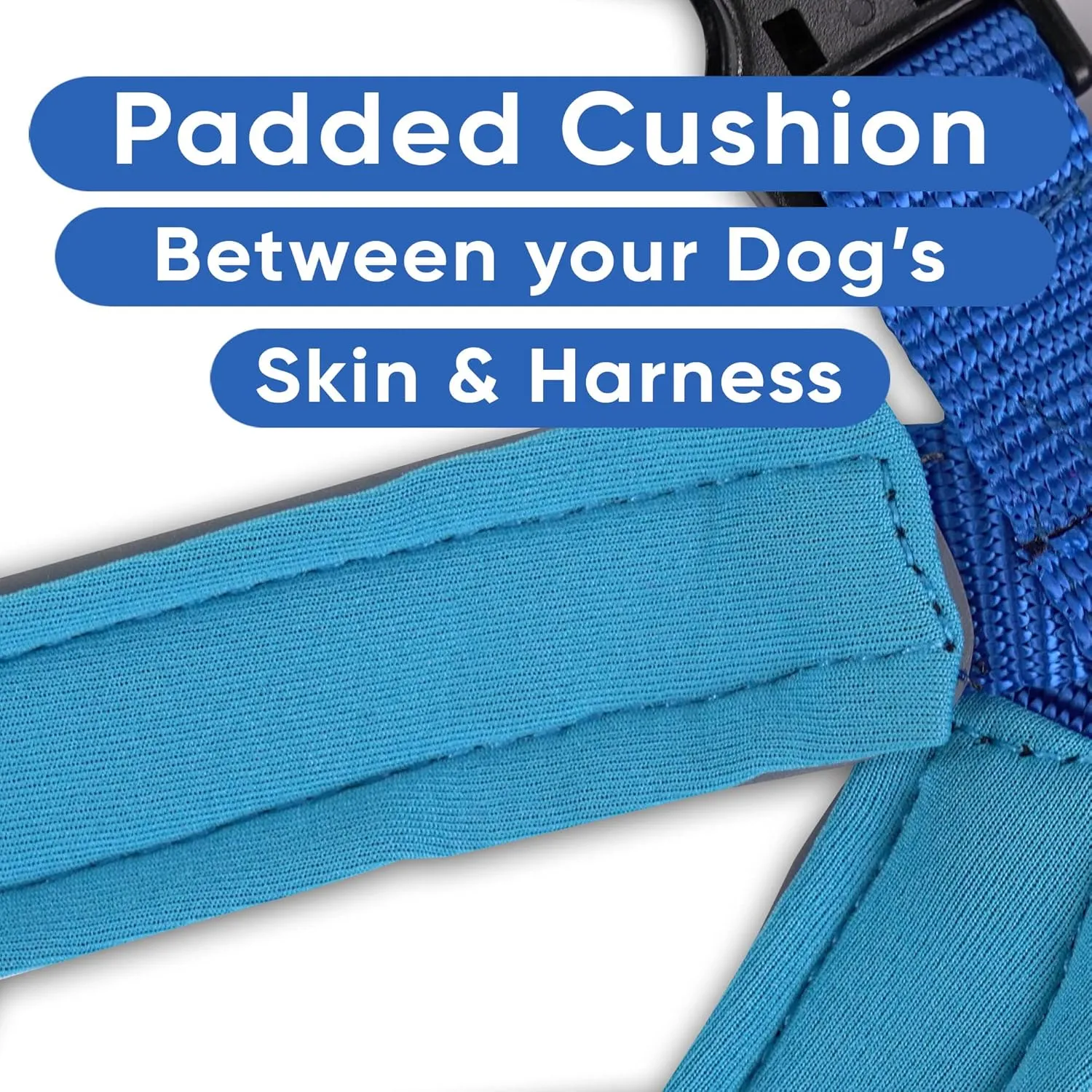 Pawtitas Reflective Dog Harness Padded Dog Harness Provides Comfort Control for a Walk or Running Great Pet Accessories Dog Vest M Medium Bue Dog Harness