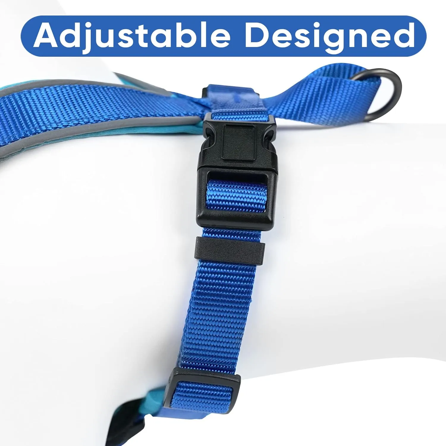 Pawtitas Reflective Dog Harness Padded Dog Harness Provides Comfort Control for a Walk or Running Great Pet Accessories Dog Vest M Medium Bue Dog Harness