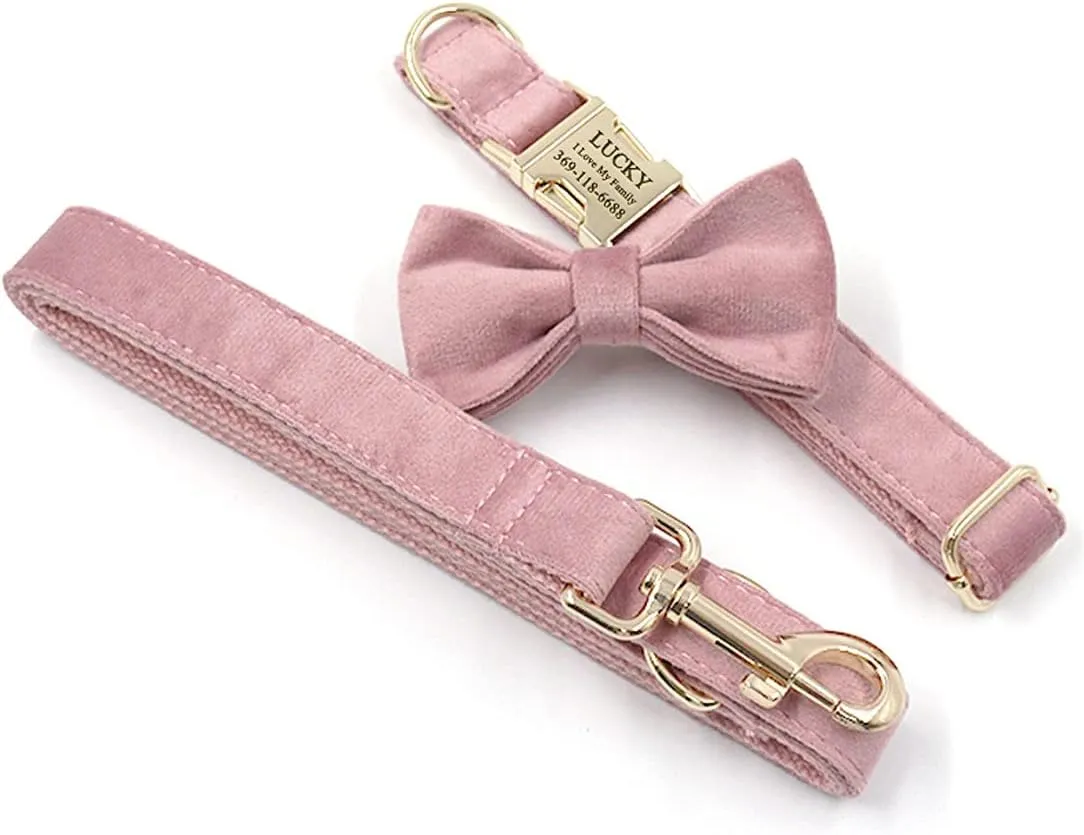 PETDURO Custom Dog Collar Personalized with Name Engraved Gold Metal Buckle for Large Medium Small Girl Dogs - Dog Leash and Bow Tie Available - Soft Comfy Velvet (Champagne Pink, M)