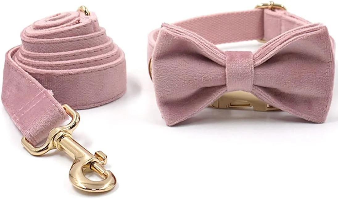 PETDURO Custom Dog Collar Personalized with Name Engraved Gold Metal Buckle for Large Medium Small Girl Dogs - Dog Leash and Bow Tie Available - Soft Comfy Velvet (Champagne Pink, M)