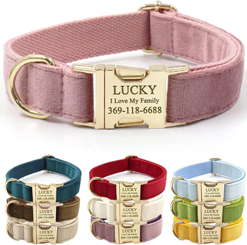 PETDURO Custom Dog Collar Personalized with Name Engraved Gold Metal Buckle for Large Medium Small Girl Dogs - Dog Leash and Bow Tie Available - Soft Comfy Velvet (Champagne Pink, M)