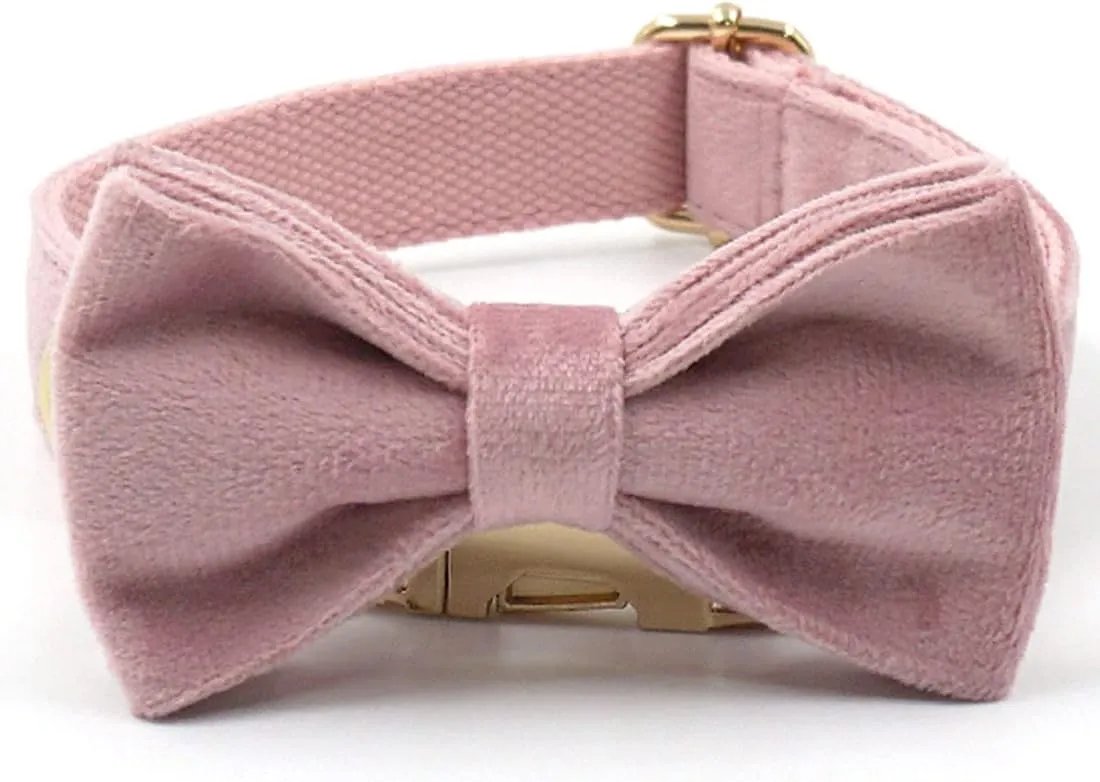 PETDURO Custom Dog Collar Personalized with Name Engraved Gold Metal Buckle for Large Medium Small Girl Dogs - Dog Leash and Bow Tie Available - Soft Comfy Velvet (Champagne Pink, M)