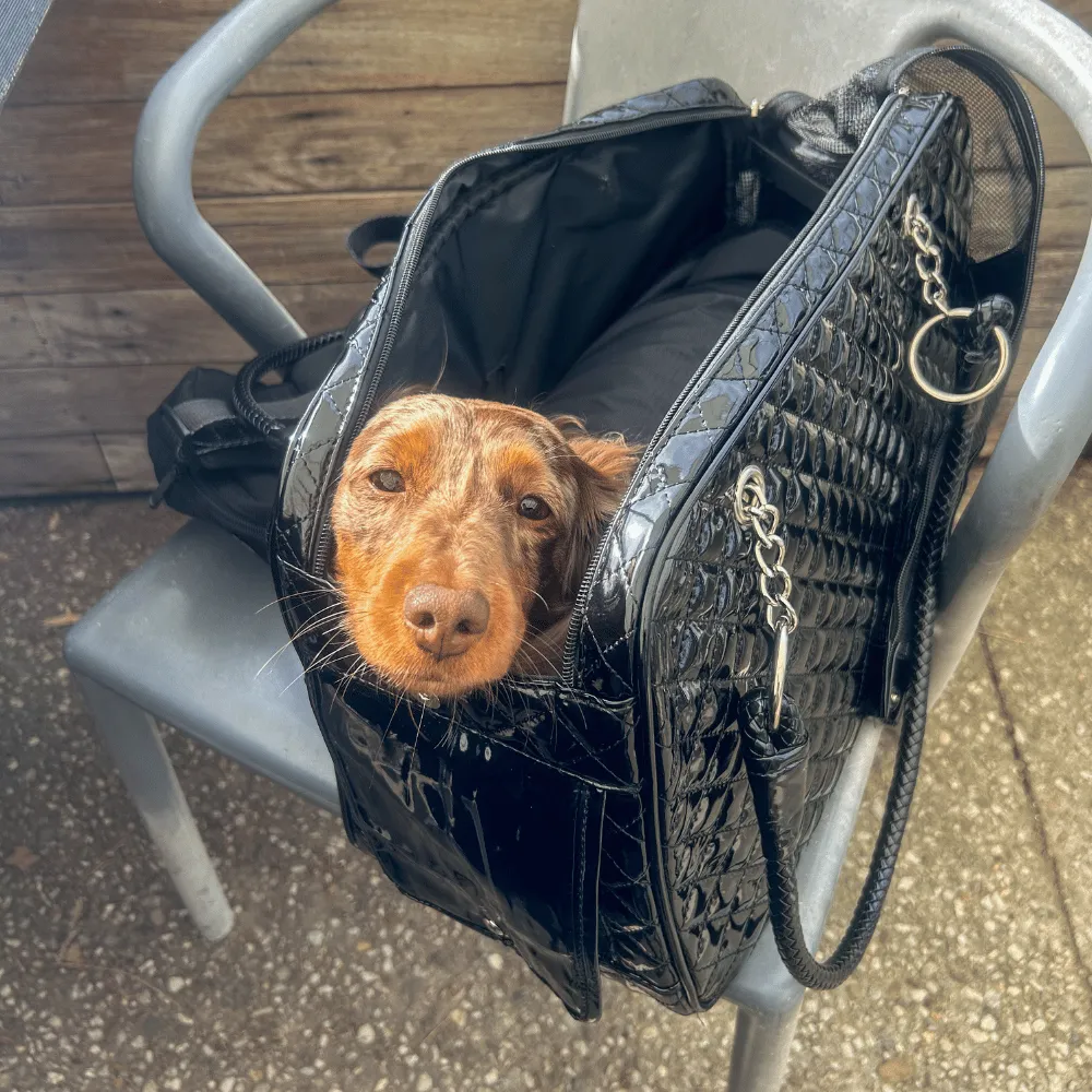 Quilted Patent Dog Carrier - Black