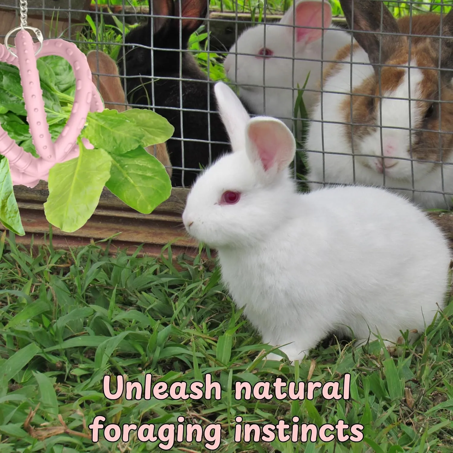 Rabbit Treat Ball Bunny Enrichment Toys with Stainless Steel Hanger Set, Veggie Feeding Rabbit Ball Toy for Bunny Hedgehog Tortoise Guinea Pig Rabbits, Pets Treat Balls Accessories (Silicone Pink)