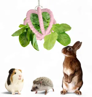 Rabbit Treat Ball Bunny Enrichment Toys with Stainless Steel Hanger Set, Veggie Feeding Rabbit Ball Toy for Bunny Hedgehog Tortoise Guinea Pig Rabbits, Pets Treat Balls Accessories (Silicone Pink)