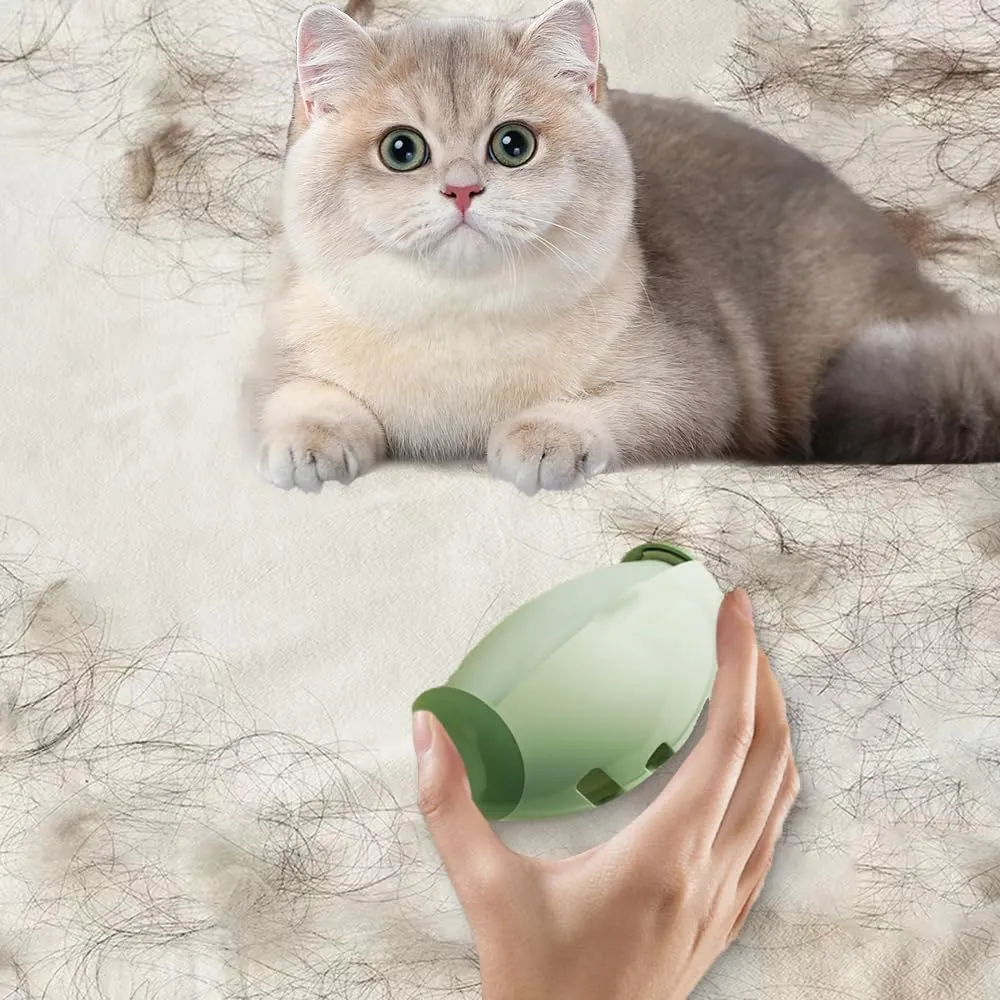 Reusable Lint Roller Ball, 2025 New Reusable Lint Rollers for Pet Hair, Reusable Washable Lint Roller, Washable Sticky Roller Travel Lint Roller Mini Lint Roller for Lint Hair and Clothes (2, Green)