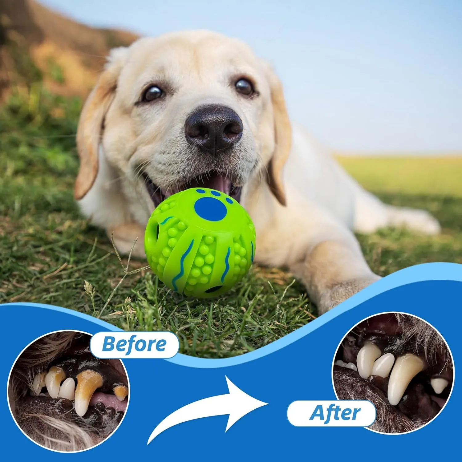 Spiky Interactive Dog Toys Ball, Shaking with Gibbering Sound, for Training, Teeth Cleaning & Herding, Wave, M, 3.46 in (8.8 cm)