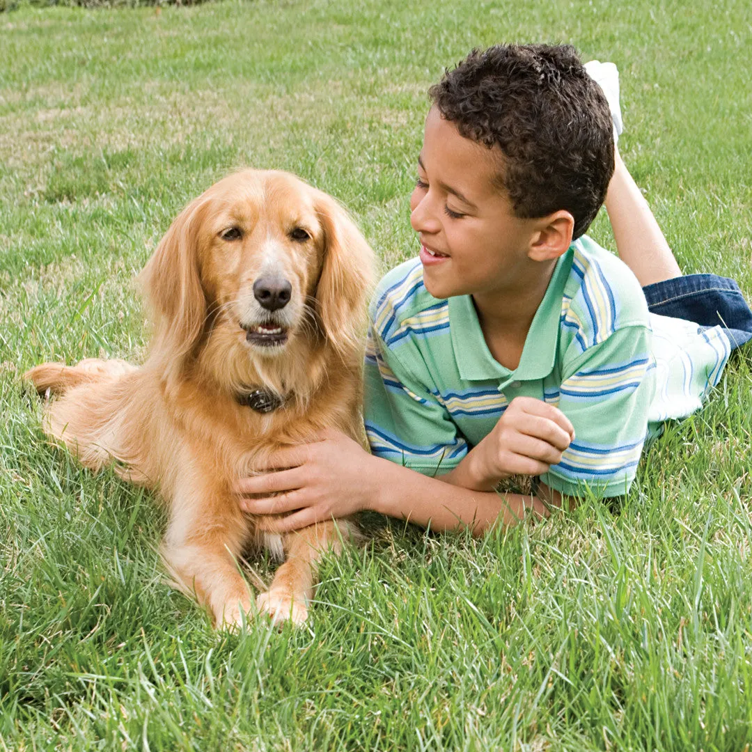 Stubborn Dog In-Ground Fence™