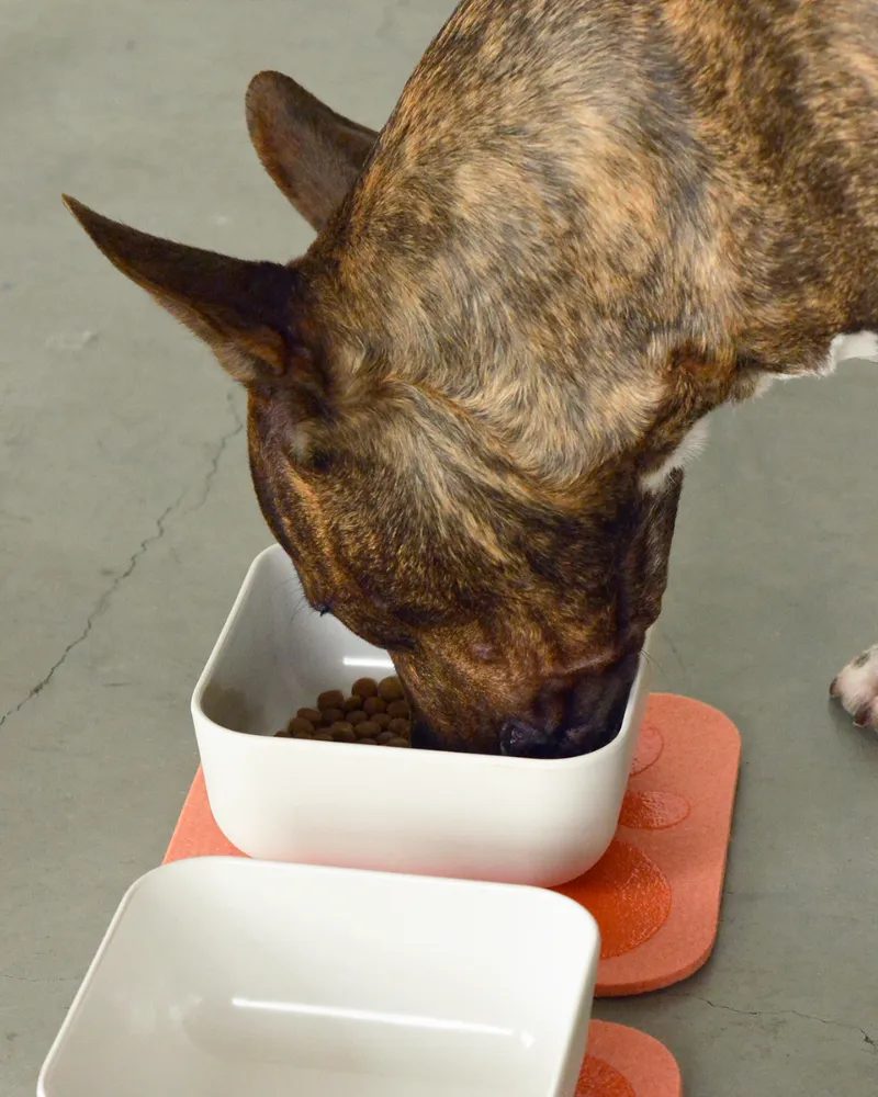 The Bamboo Fiber Puppy Pantry Bowl Set (CLEARANCE)