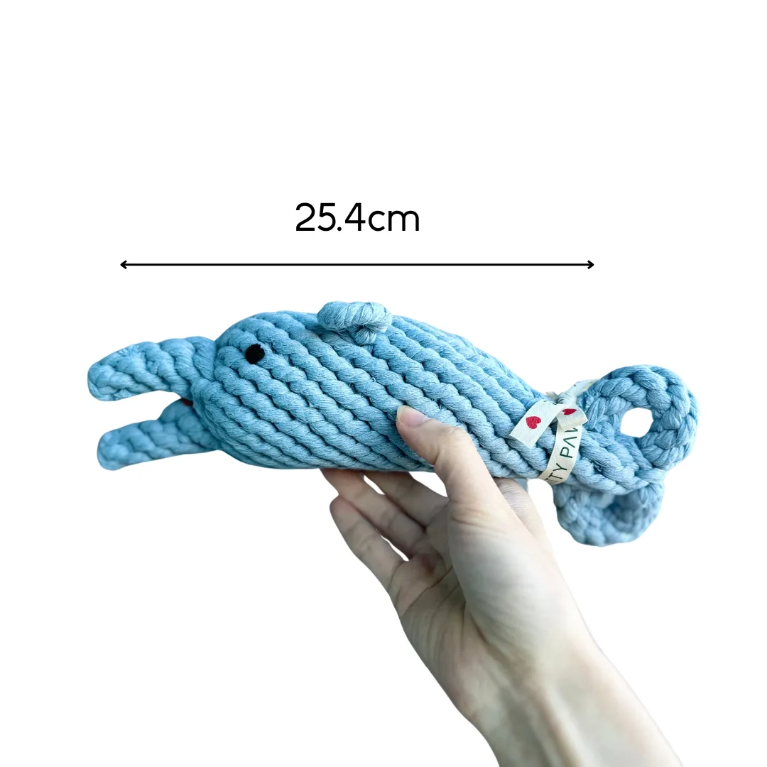 The dolphin dog toy